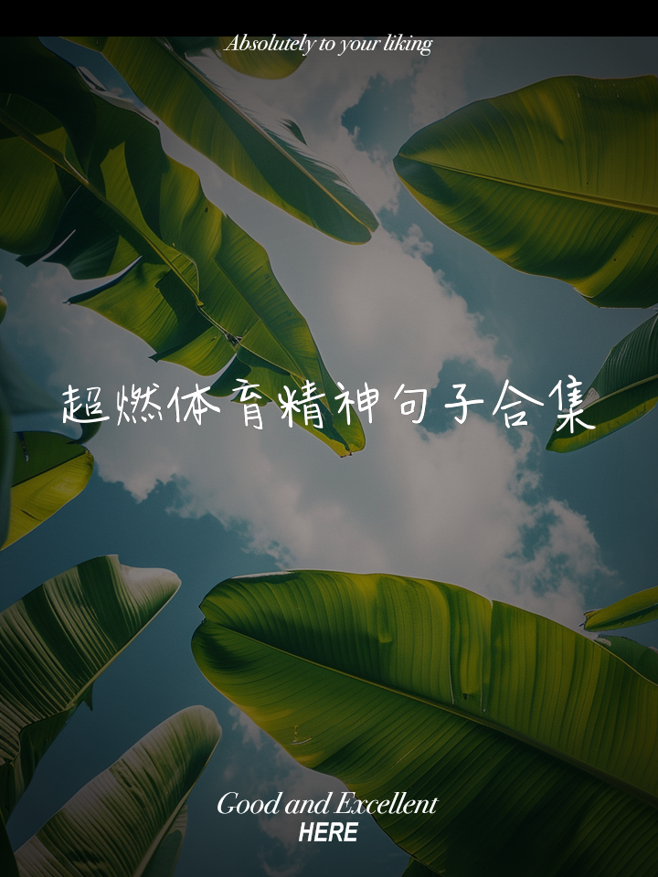 关于精彩瞬间回放，体育精神激励人心的信息