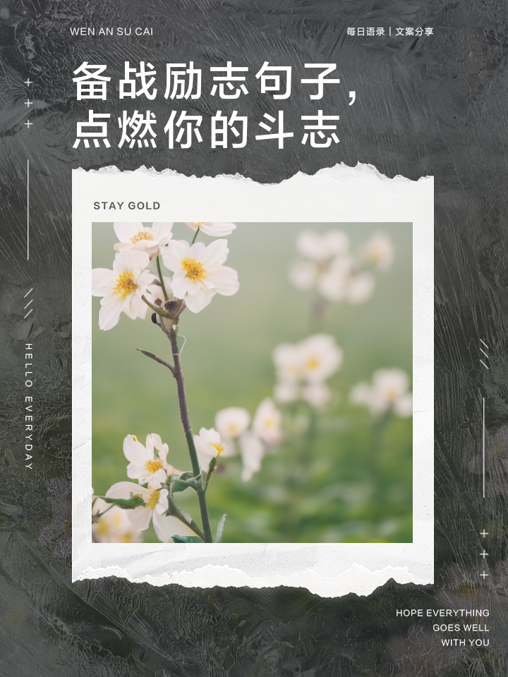 拼搏精神：运动员不惧困难向前冲的简单介绍