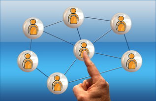 九游娱乐官网-印度队2024年世界杯：从经验到信心的全面提升，印度1950世界杯  第2张