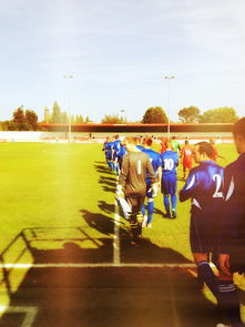 九游体育官网入口-德国队如何在新赛制下争夺国际乒联混合团体世界杯冠军，德国队乒乓  第3张